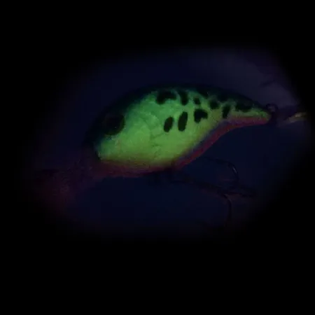 Bass Pro Shops XPS Lazer Eye Deep Diver Plug, Fire Tiger, 12g, #10341