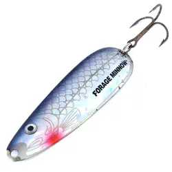 Forage Minnow
