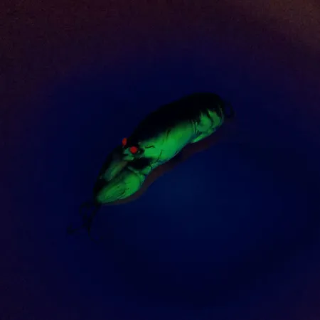 Rebel Wee-Crawfish Shallow UV Plug, Bruin/Geel, 2.5g, UV, #10904