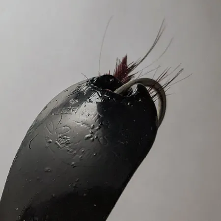 Weezel Rex Spoon, zwart, 12g, Lepel #21779