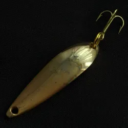 Fiord Lepel Lightning (Jaren 50)