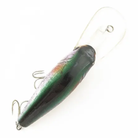 SPRO Crankbait -7, 21g Regenboog, Diepduikende Plug #24387