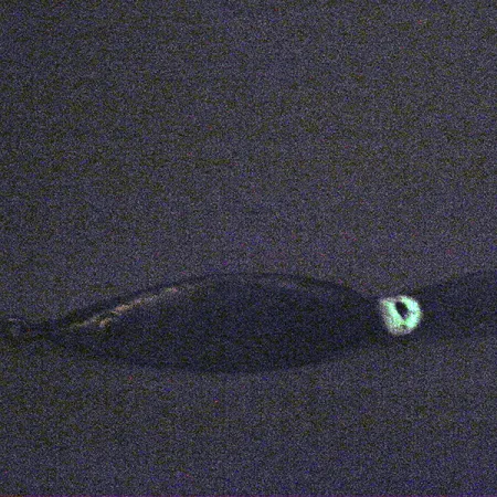 Weedless Fred Arbogast 3 Hawaiian Glow Lepel, 16g, Weedless, #3338