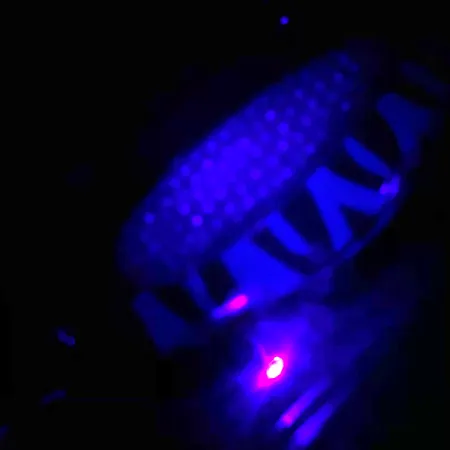 Blue Fox Rattlin Pixee UV Lepel, Nikkel / Blauw, 24g, UV, #4556