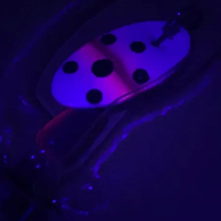 Panther Martin 2 UV Spinner, Forel, 2,5g, UV-afwerking, #4603