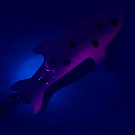 Acme Phoebe Lepel, Trout/Nickel, 4g, 3D-Profiel, #5101