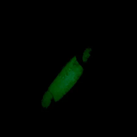 Luhr Jensen Crippled Herring Lepel, Wit/Groen UV Glow, 21g, #5921