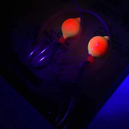 Northland Live Fishing Bait Roach Rig UV Onderlijn, Oranje, UV, #5967