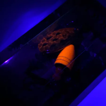 Luhr Jensen Fire Max Miracle 2 UV Spinner, Garnaal, 7g, UV, #6044