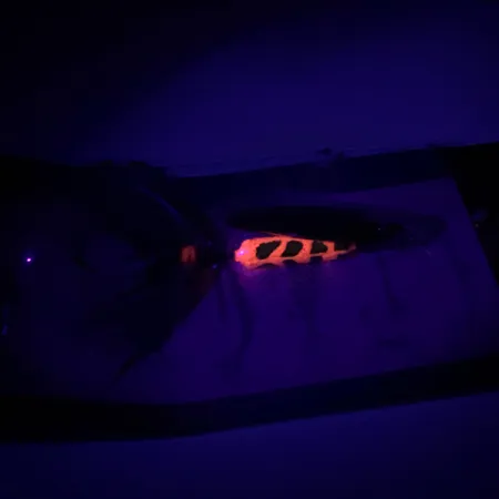 Yakima Bait Worden’s Original Rooster Tail Spinner, Goud, 3,6g, #6598