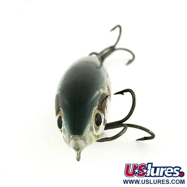 Rapala Skitter Walk Topwater, Mullet, 12g, Verzwaarde Staart, #7005