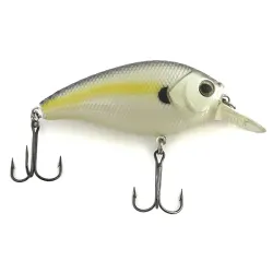 Matzuo Asai Shad