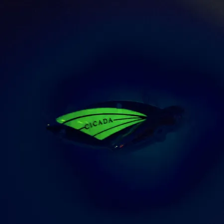 Reef Runner Cicada Blade Bait, Nikkel / Groen, 14g, Lichtgevend, #9560